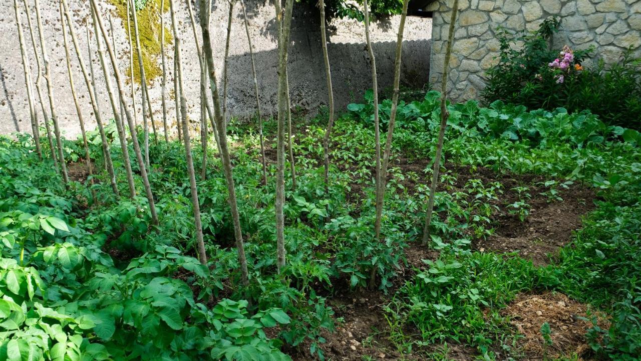 Prevalis Nature Cottage Virpazar Extérieur photo